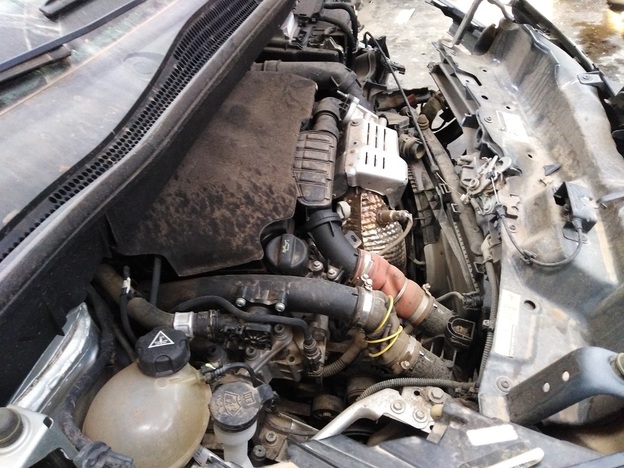 Desarmaduría San Pablo - CITROEN C3 , En desarme.